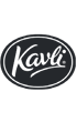 Logo of Kavli