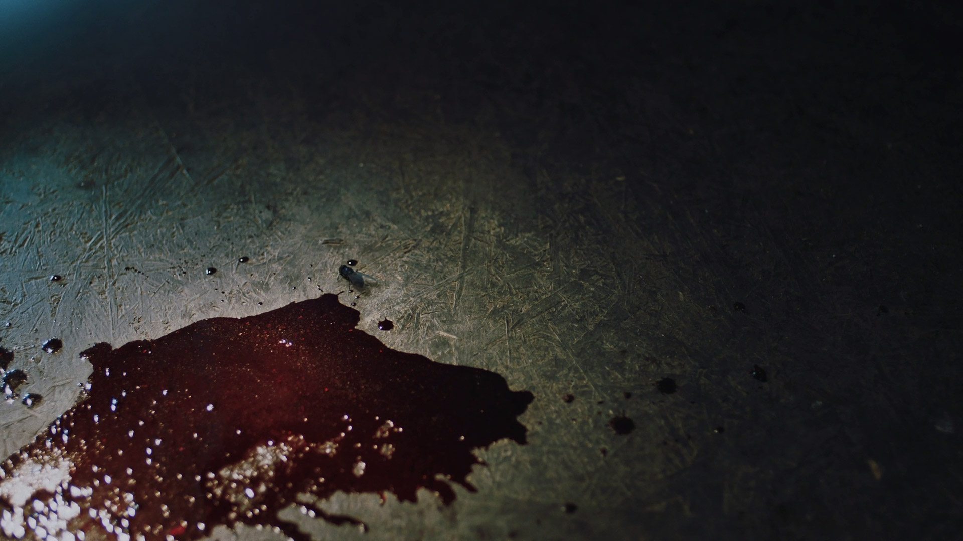 Still from the film showing the CG fly.